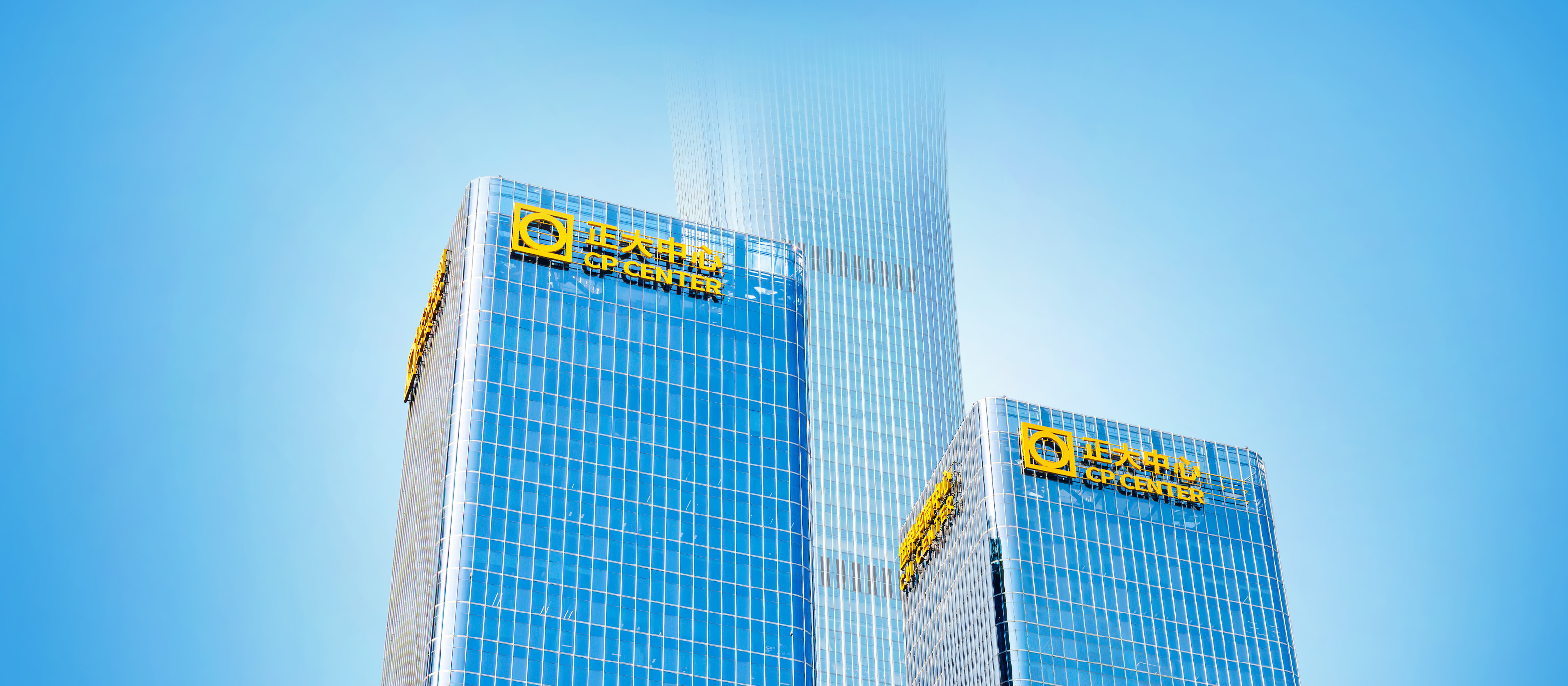 ����pp����